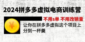2024拼多多虚拟电商训练营，不s单，不改销量，做虚拟项目分一杯羹-叮当小屋